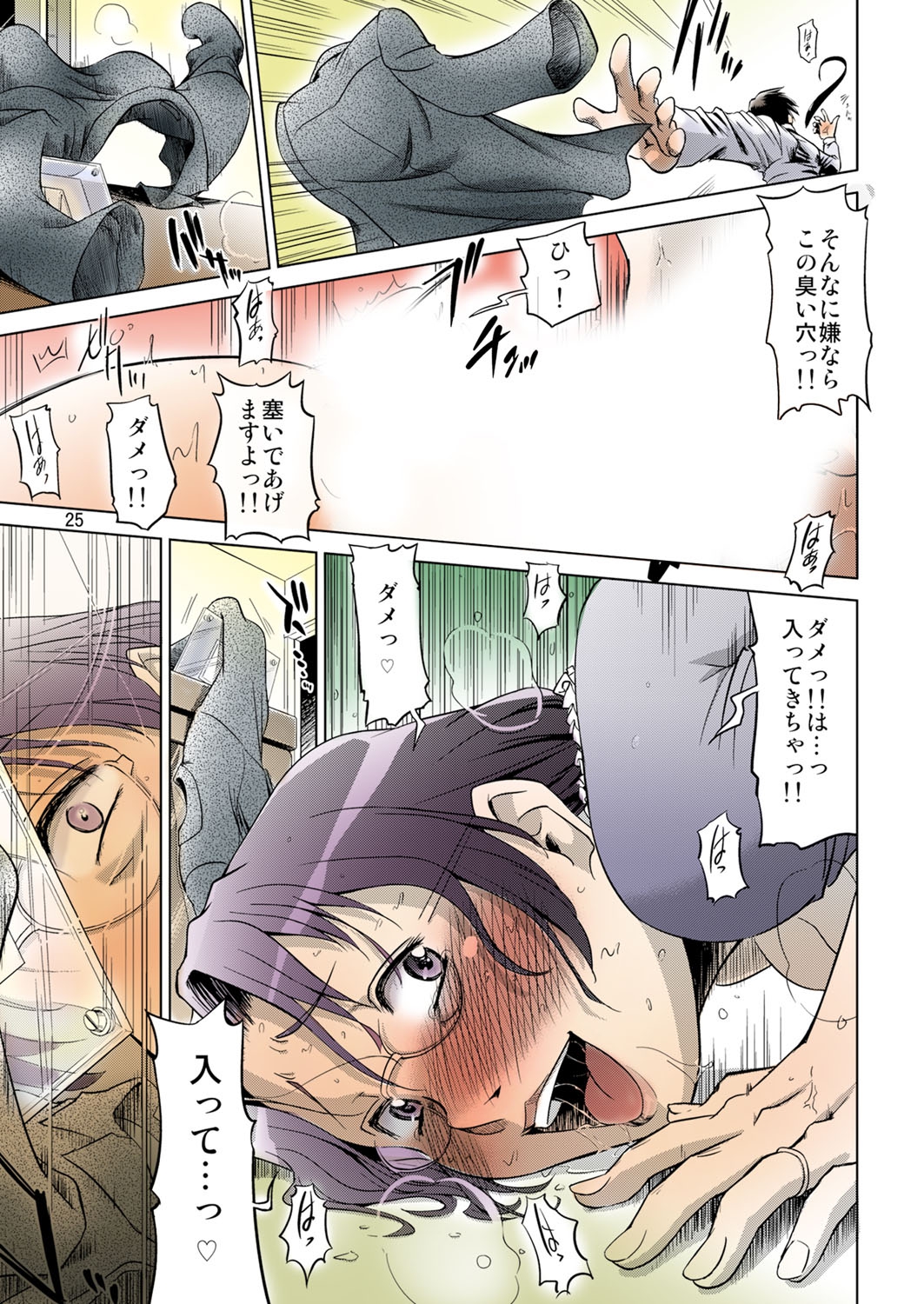 [けつかせ屋 (流木念)] 幸福な家族 [DL版] [カラー化]