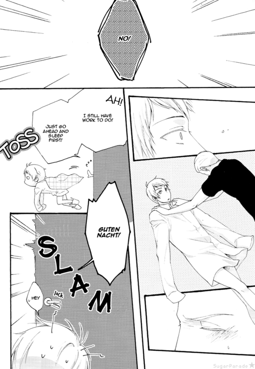 (C77) [SYAVADAVA-DO!! (マミコ)] Meine Liebe (Axis Powers ヘタリア) [英訳]