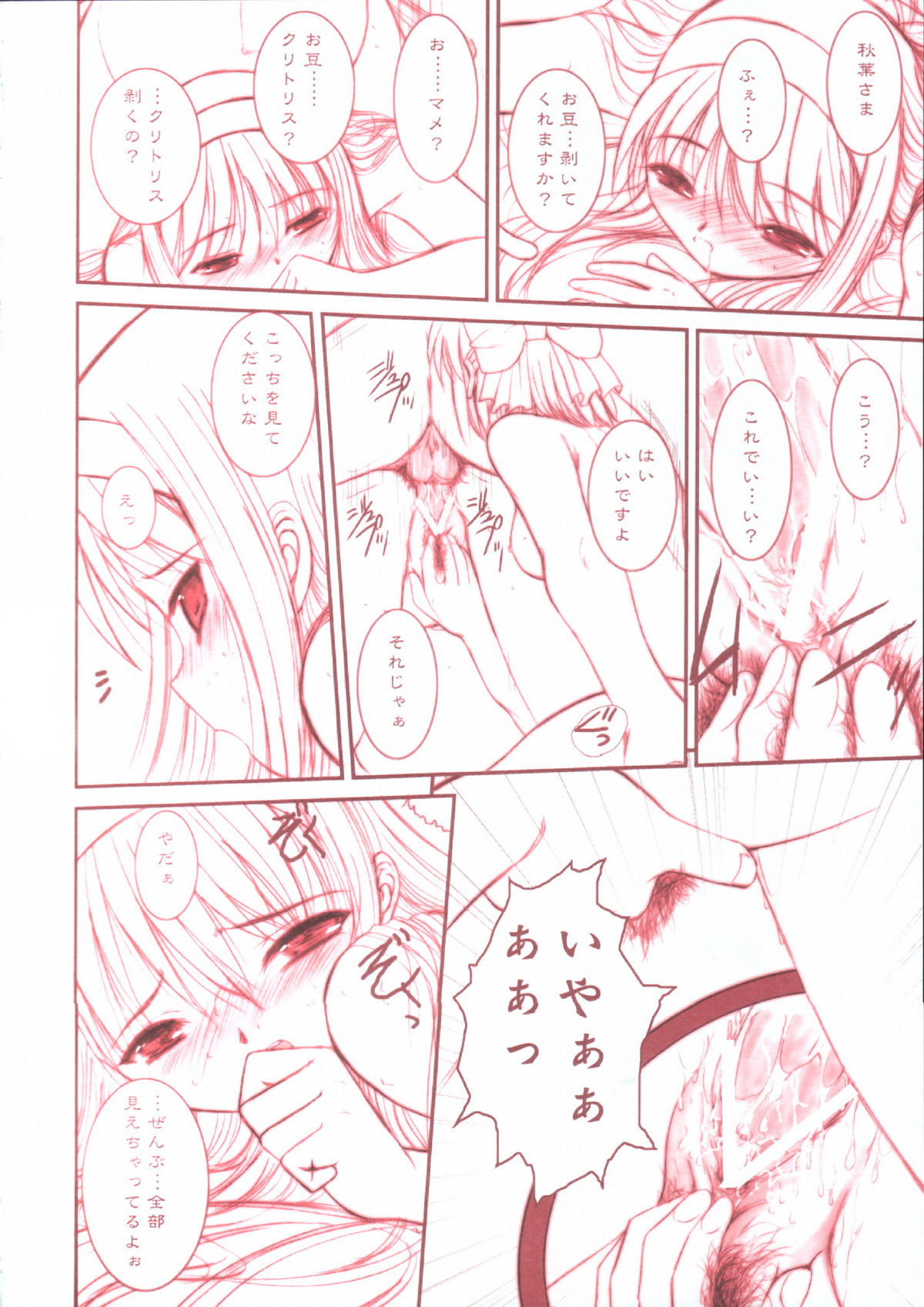 (Cレヴォ33)[ディエップ工房 (あるぴ～ぬ)] PORNOGRAFFITI SIDE-B (月姫)