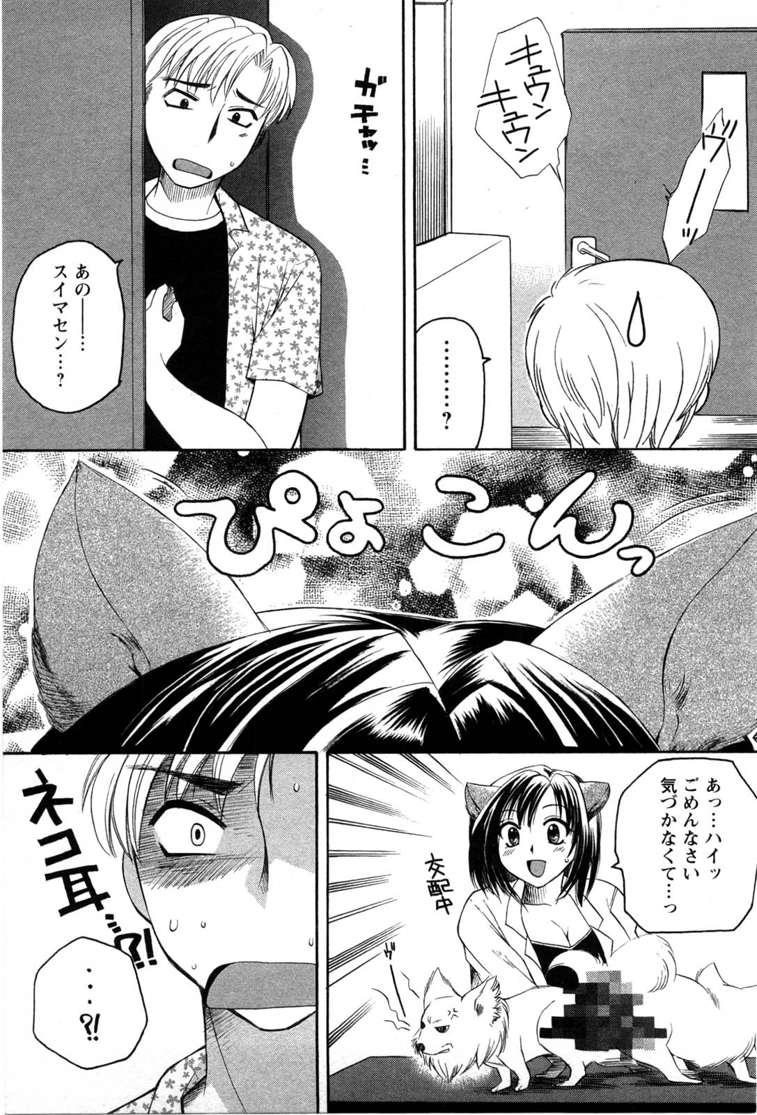 [嬉野めぐみ] セレブな淑女たち