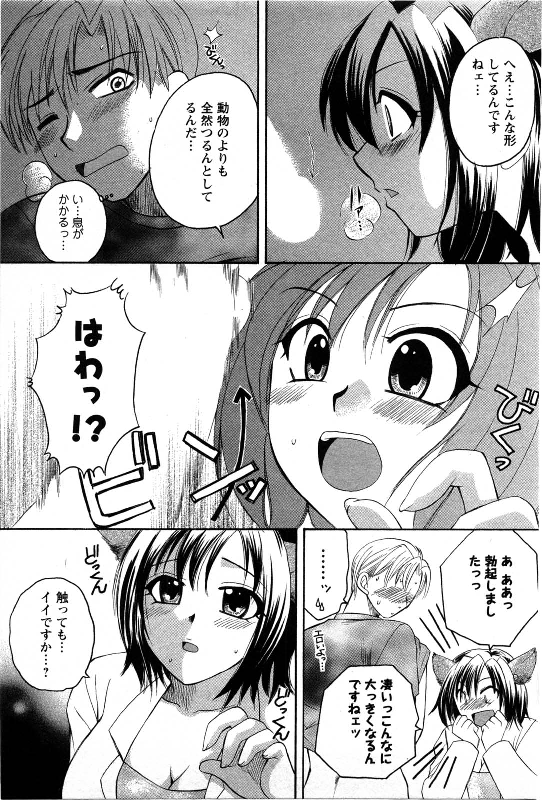 [嬉野めぐみ] セレブな淑女たち
