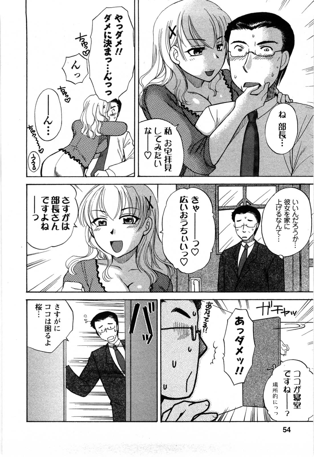 [嬉野めぐみ] セレブな淑女たち