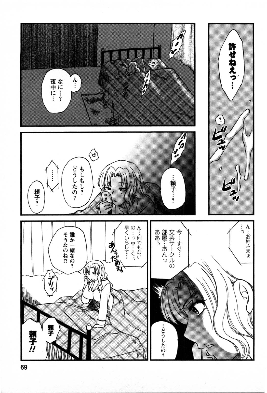 [嬉野めぐみ] セレブな淑女たち