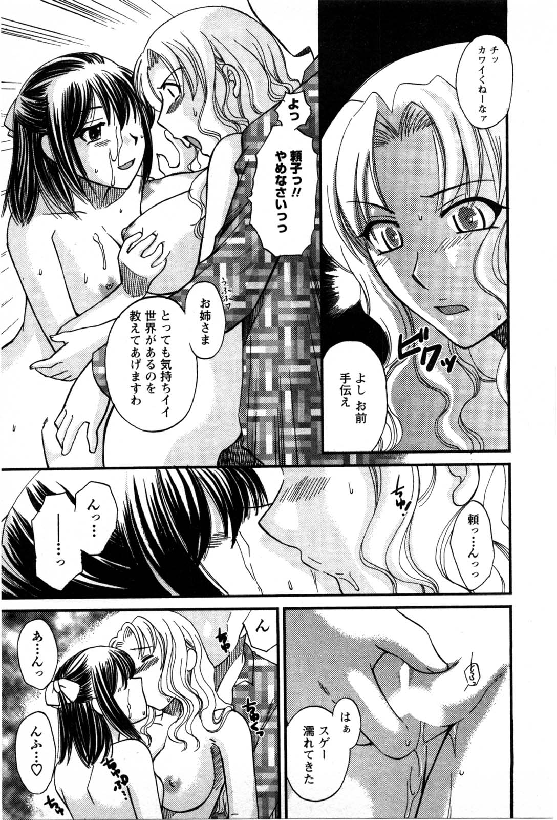 [嬉野めぐみ] セレブな淑女たち