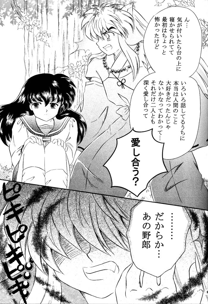 [はなさらさ (うつき暮羽)] びいどろ浪漫 (戦国お伽草子ー犬夜叉)