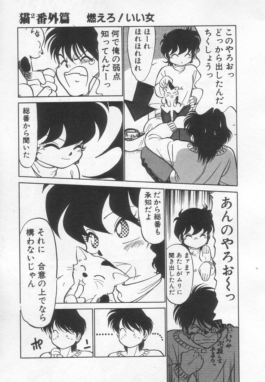 [魔訶不思議] 猫じゃ猫じゃ 2