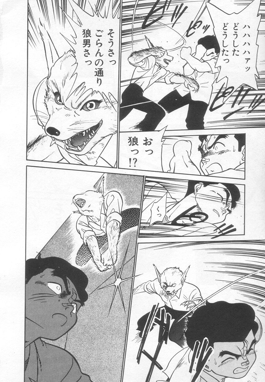 [魔訶不思議] 猫じゃ猫じゃ 2