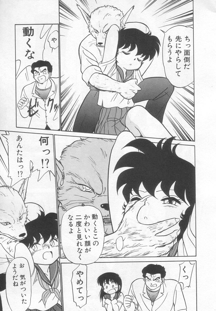 [魔訶不思議] 猫じゃ猫じゃ 2
