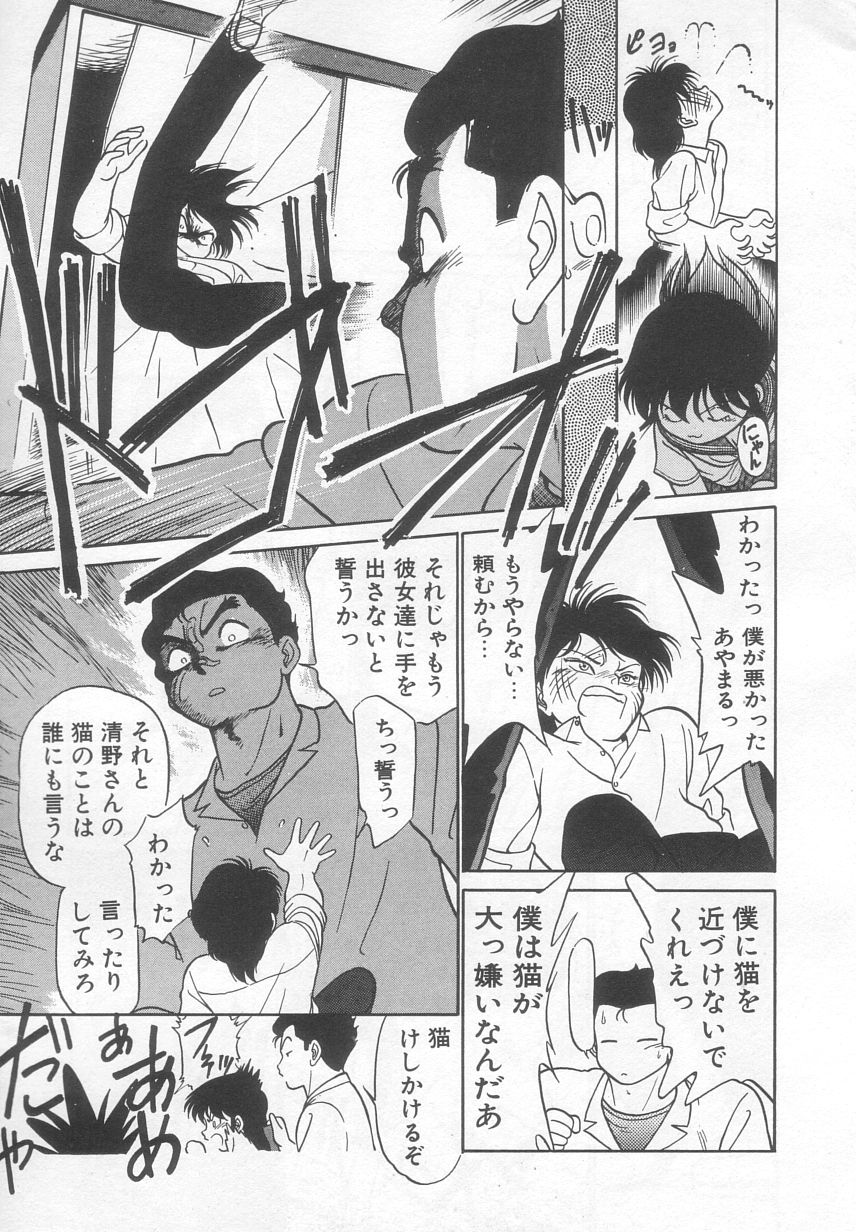 [魔訶不思議] 猫じゃ猫じゃ 2