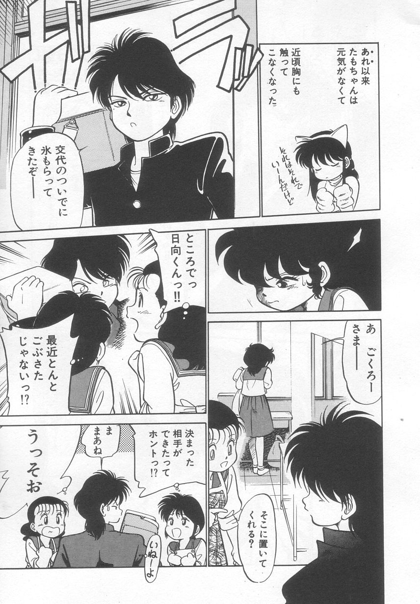 [魔訶不思議] 猫じゃ猫じゃ 2