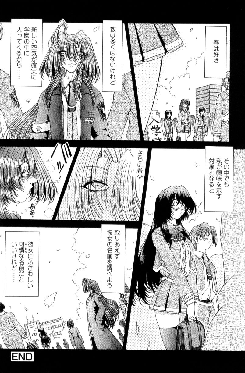 [粗雑那絵] SsR エスエスアール