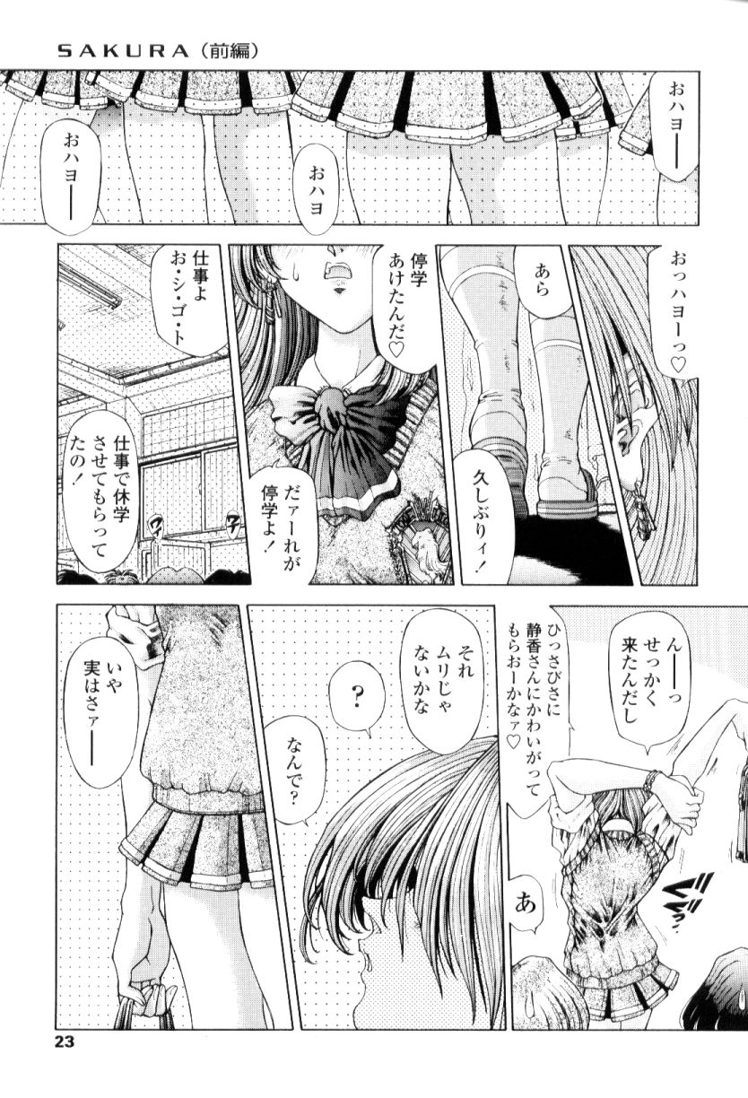 [粗雑那絵] SsR エスエスアール