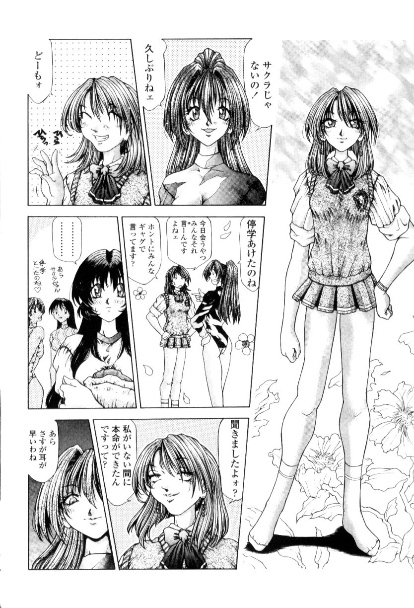 [粗雑那絵] SsR エスエスアール