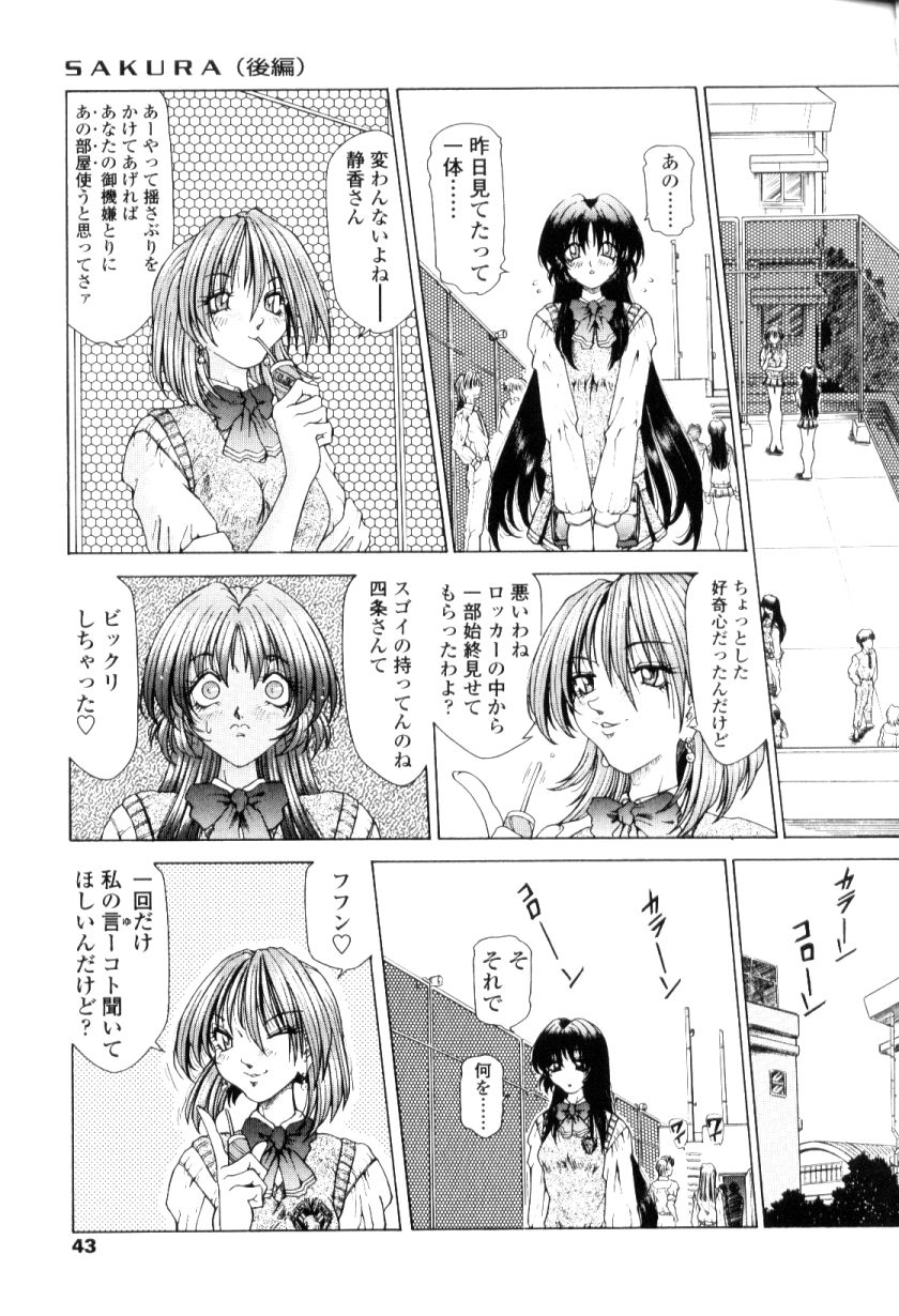 [粗雑那絵] SsR エスエスアール