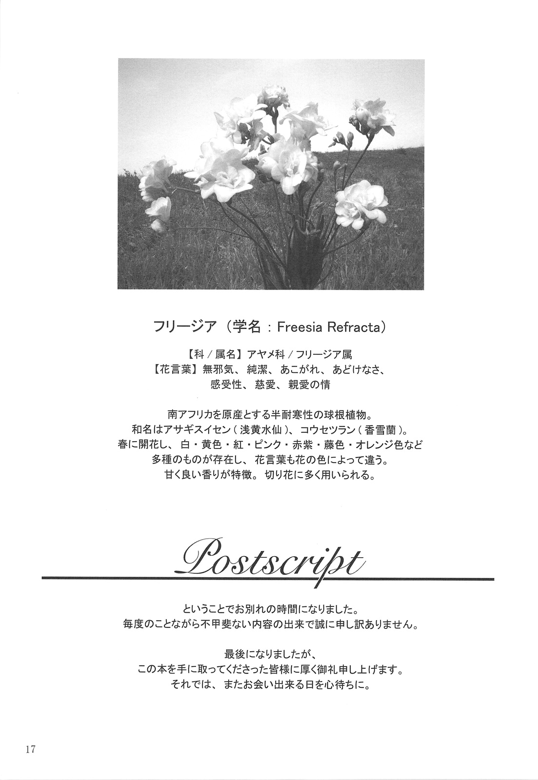 (C76) [クランク・イン (水谷とおる)] Floriography -Freesia- [英訳]