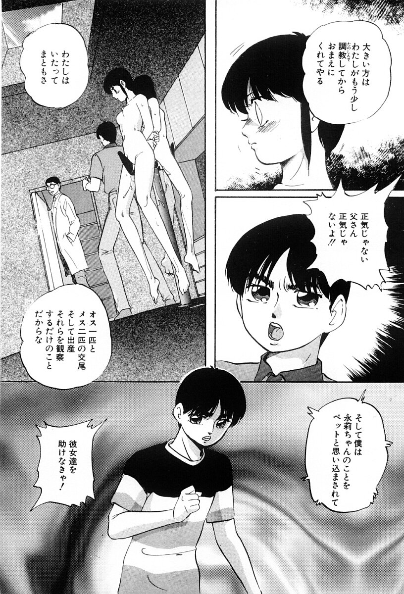 [上総志摩] ぱわードール