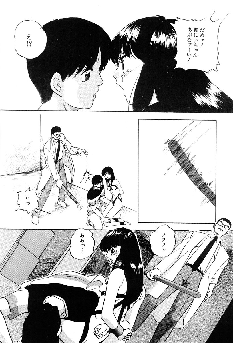 [上総志摩] ぱわードール