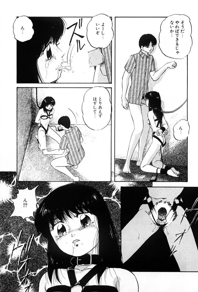 [上総志摩] ぱわードール