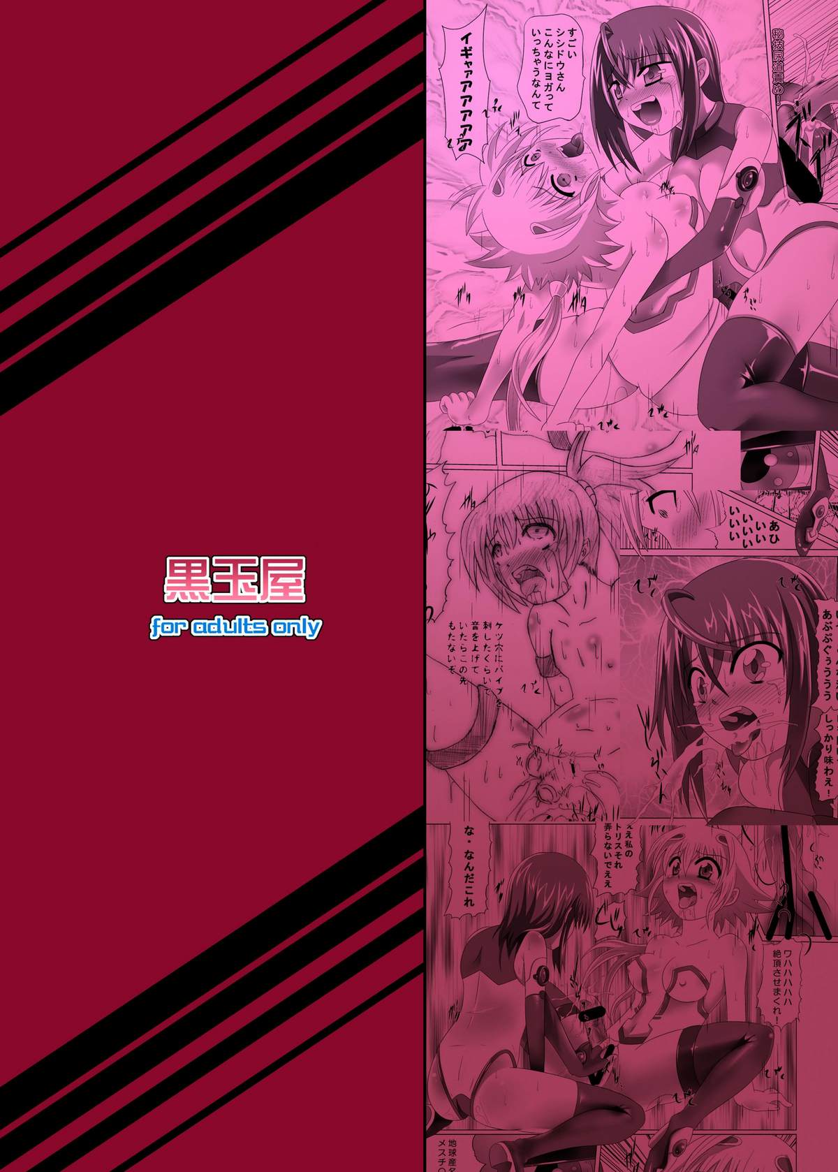 (執事とらのあな! 5) [黒玉屋 (紅玉)] 地をはう少女 (宇宙をかける少女)