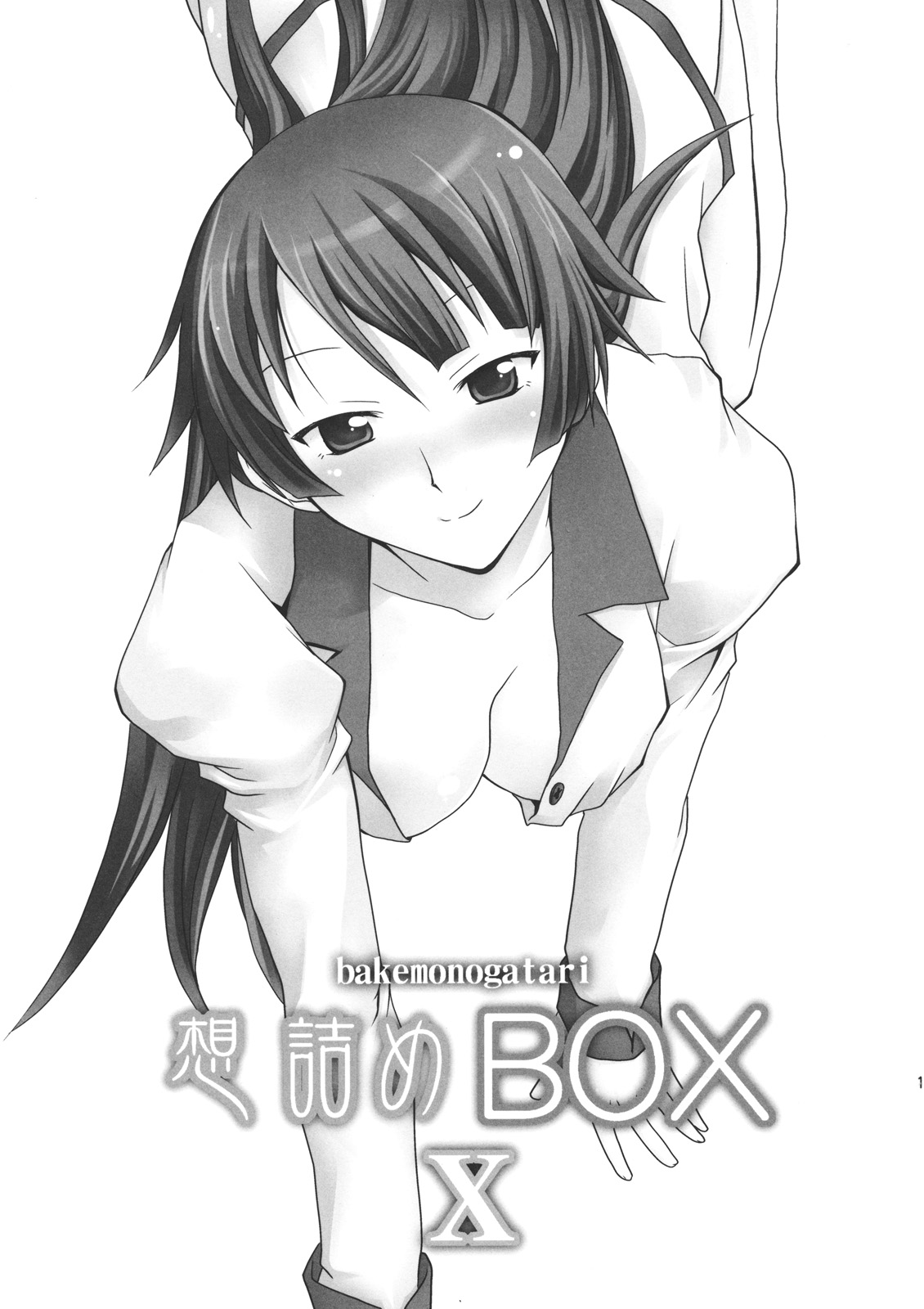 (サンクリ45) [想詰め (串カツ孔明)] 想詰めBOX X (化物語)