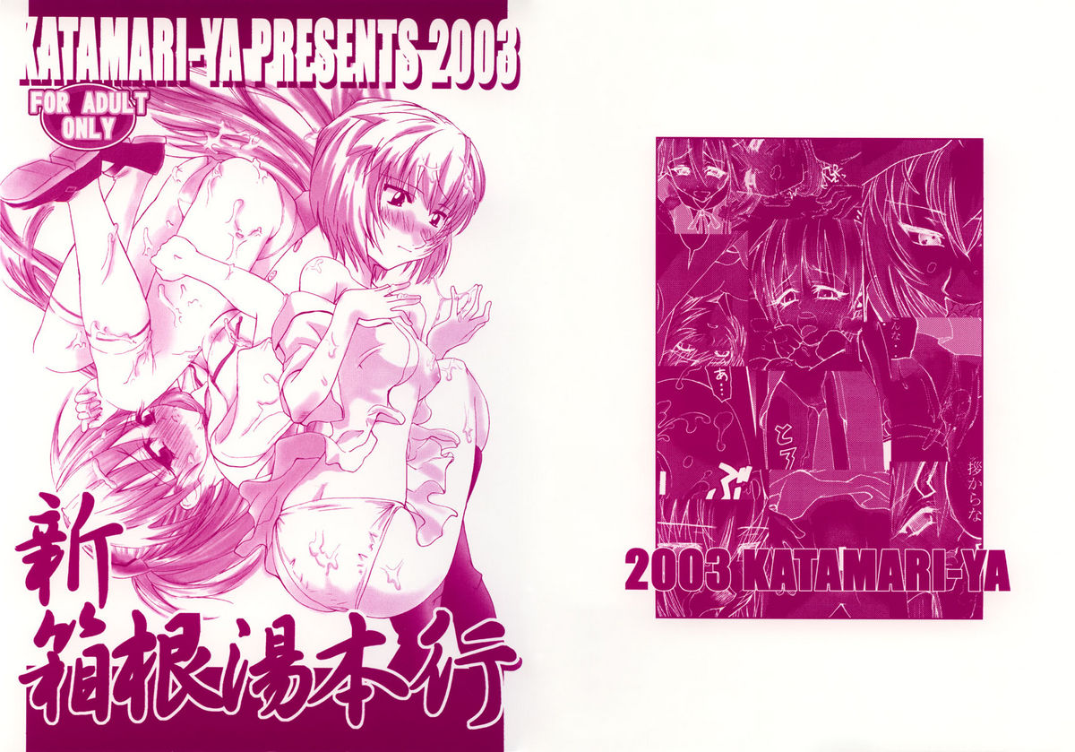 (CR33) [かたまり屋 (しなま)] 新箱根湯本行 (新世紀エヴァンゲリオン)