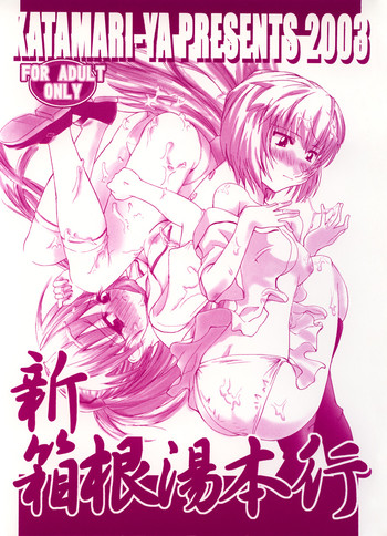 (CR33) [かたまり屋 (しなま)] 新箱根湯本行 (新世紀エヴァンゲリオン)