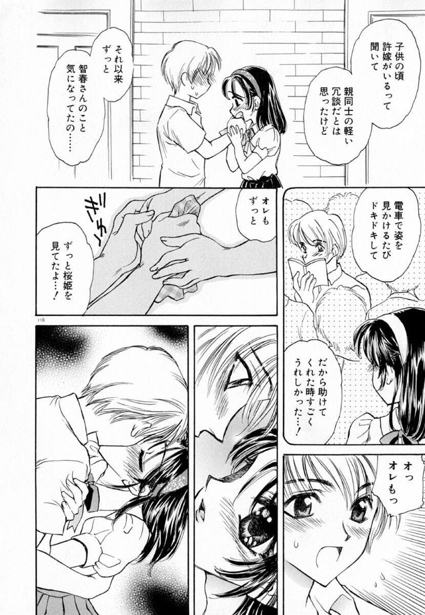 [桐沢みんと] 迷宮の薔薇