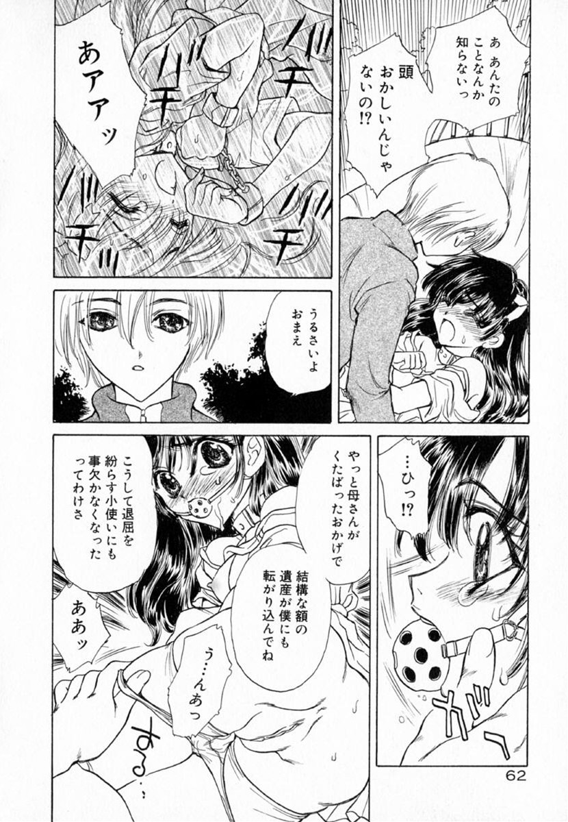 [桐沢みんと] 迷宮の薔薇
