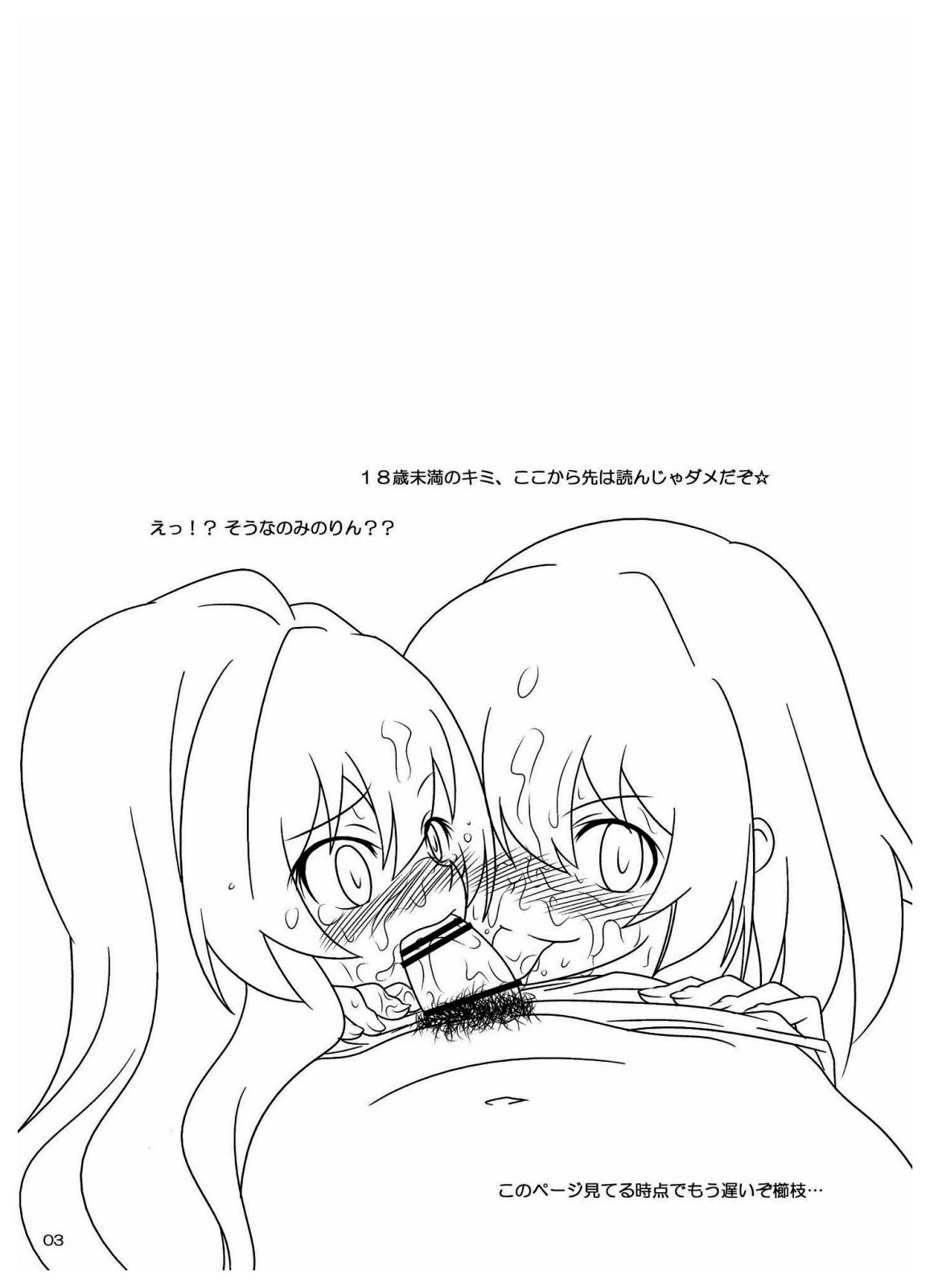 (C76) [ばくはつBRS. (ばくはつごろう)] L.D (とらドラ!)