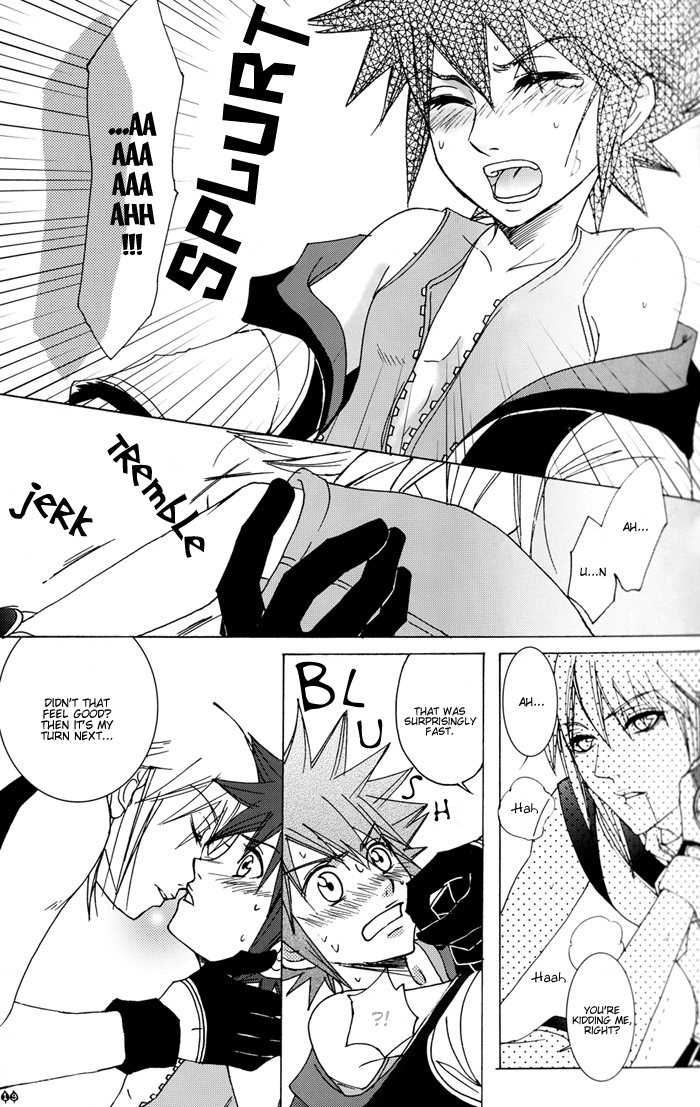 【トンボ】闇のトビラ、光のカギはじまりの島【キングダムハーツ】【英語】【やおい】