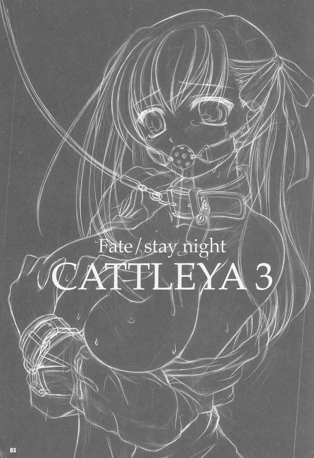 (C67) [夜間飛行 (いのうえとみい)] CATTLEYA 3 (Fate/stay night)
