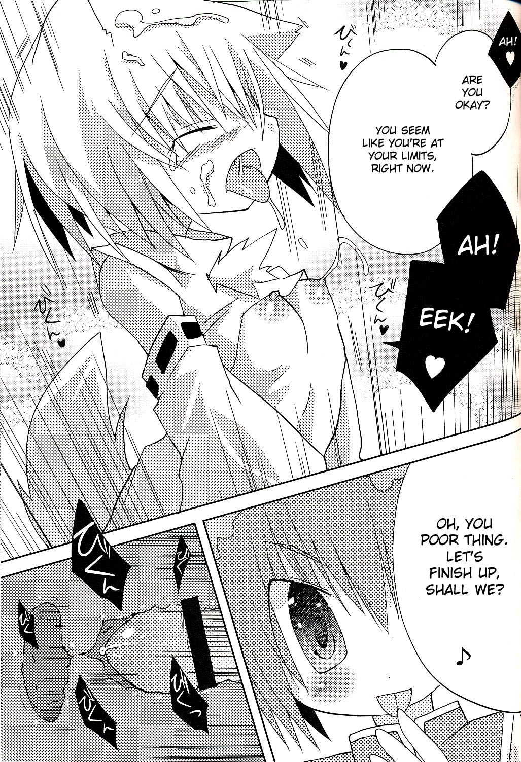 (みみけっと20) [ねこからし (桜去ほとり)] いぬヴァしりさんをもっとぎゅっとする本 (東方Project) [英訳]