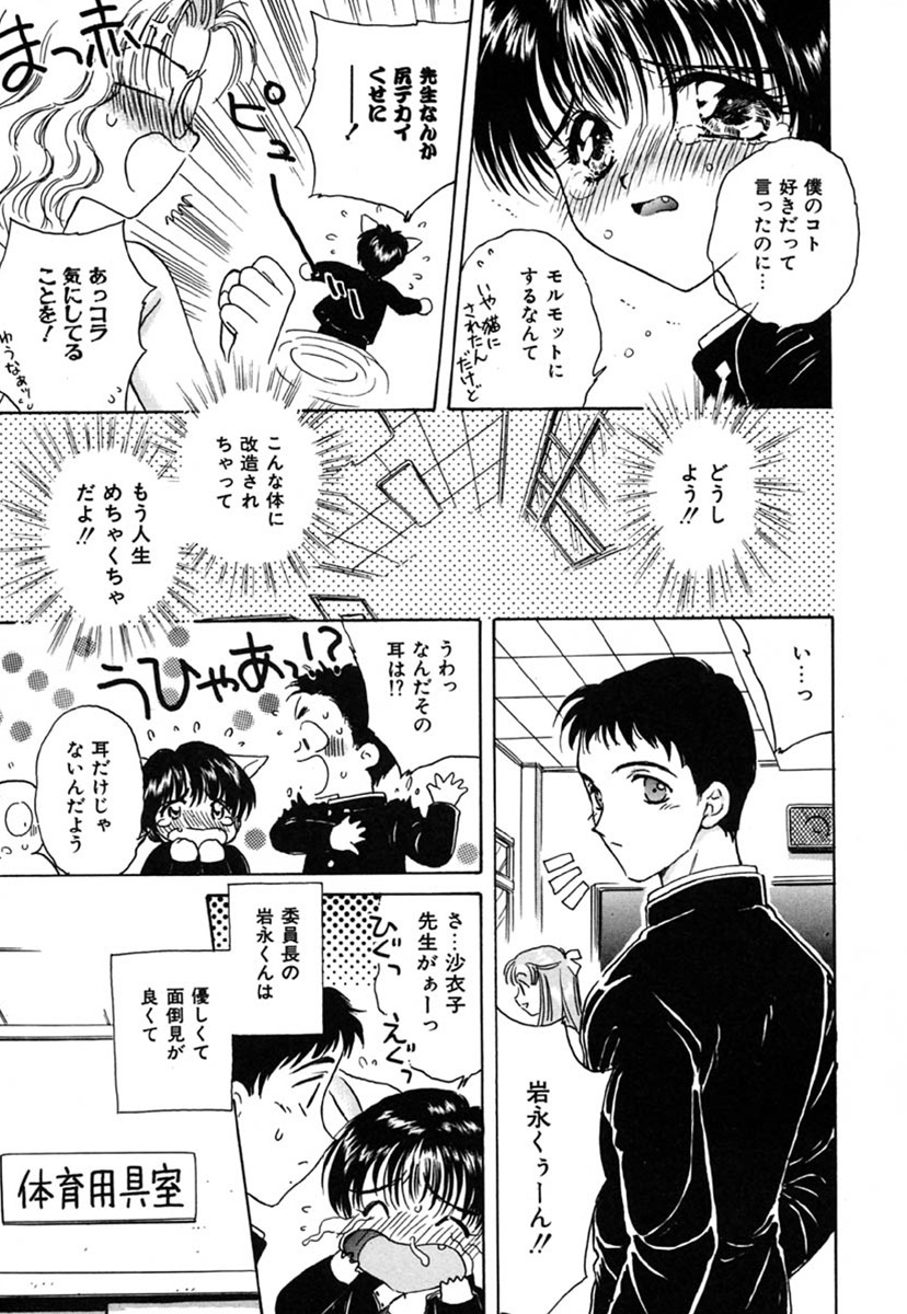 [桐沢みんと] SEXLESS