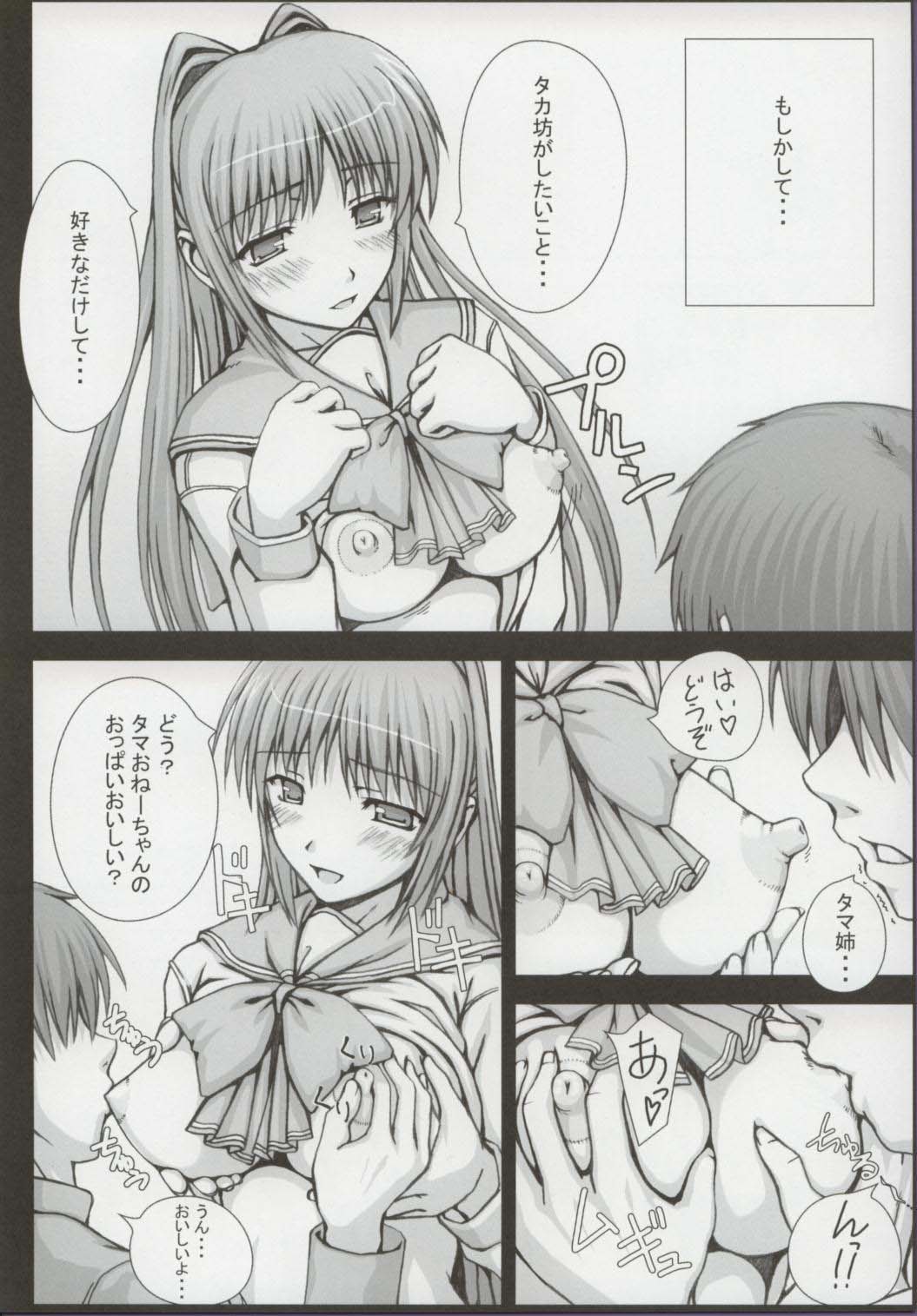 (C69) [童話建設 (野村輝弥)] PROMISE (トゥハート2)