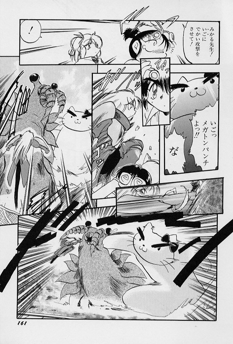 【熊輝樹】アクティブハート