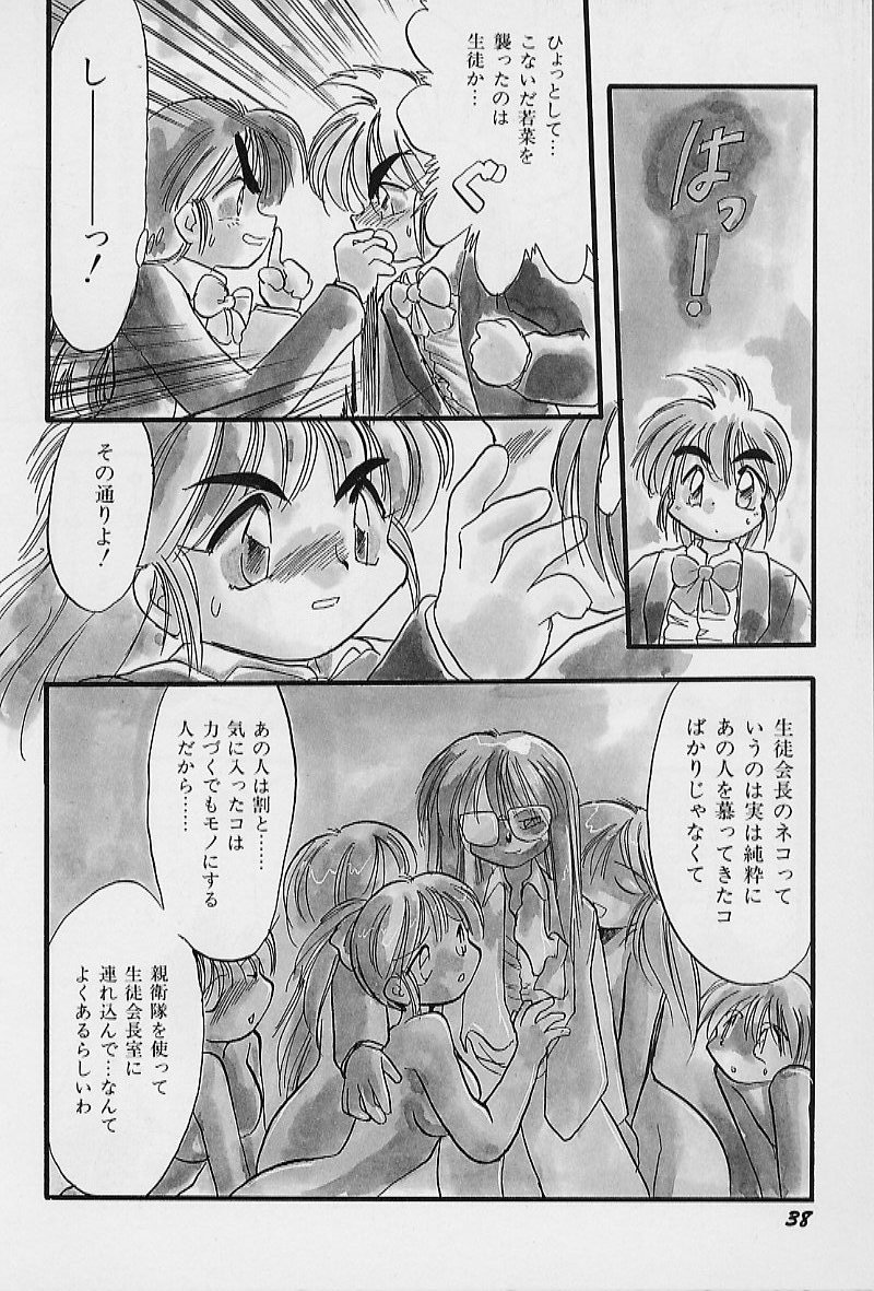【熊輝樹】アクティブハート
