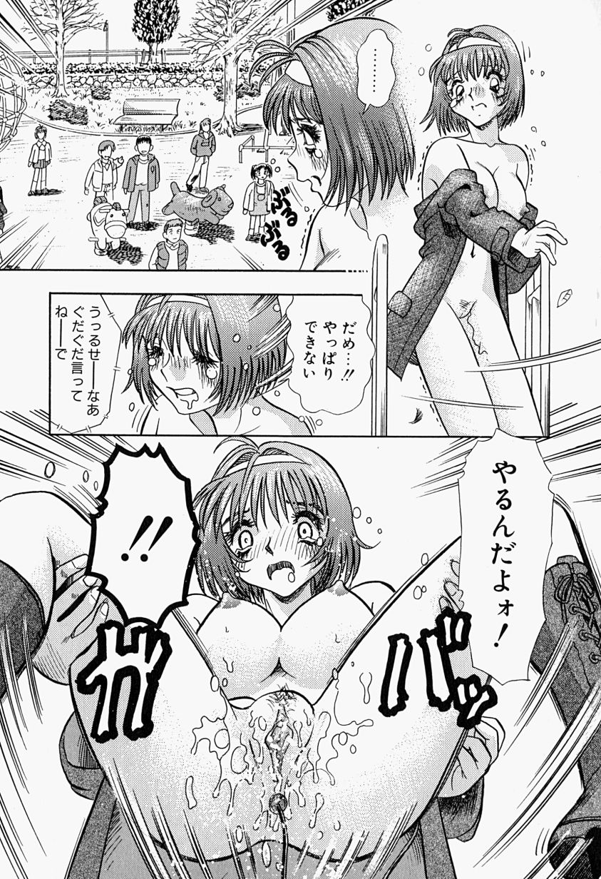 【富秋村】インジュニヌレタ花園