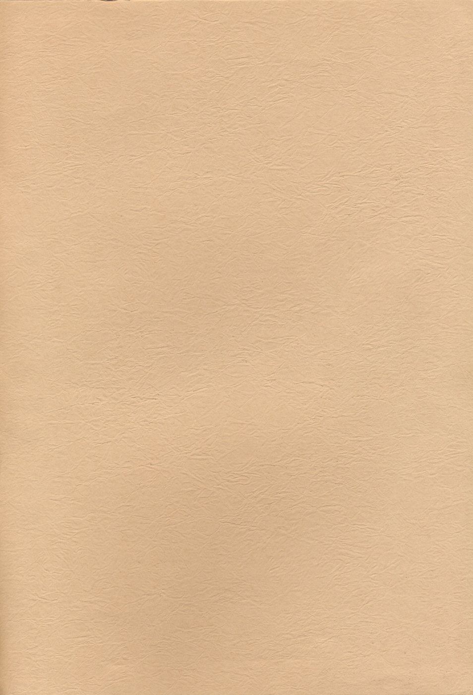 （C50）【三角エプロン（三文教伝】山光書