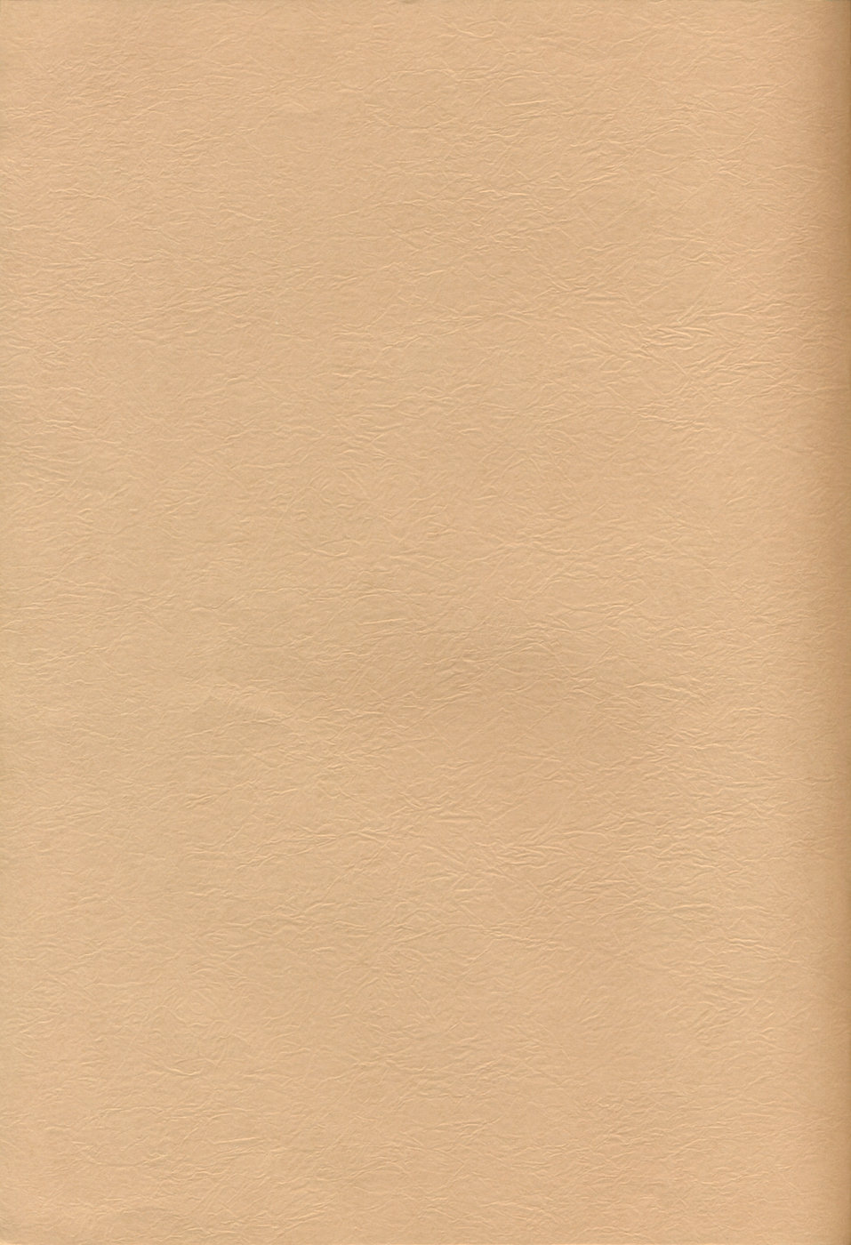 （C50）【三角エプロン（三文教伝】山光書