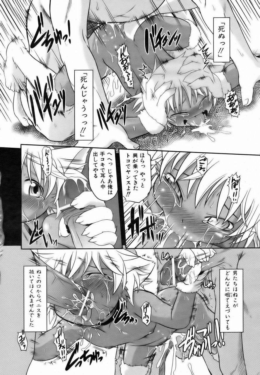 [田倉まひろ] ばっちゃのねこ