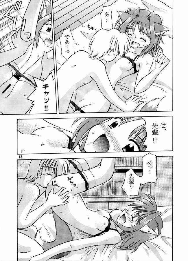 (C64) [Cool Palace (すずみやかずき)] 夏、風芽丘にて (とらいあんぐるハート)