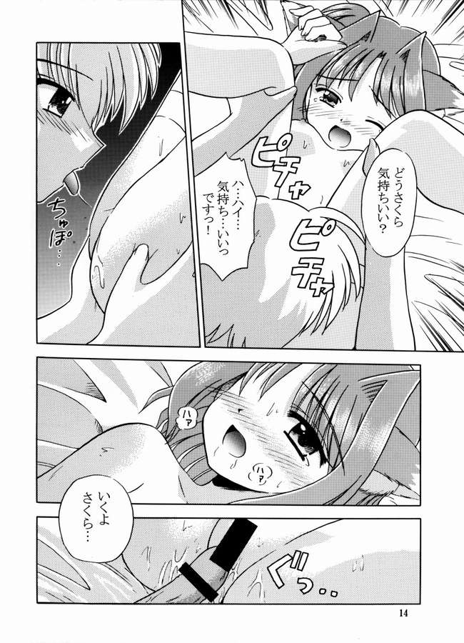 (C64) [Cool Palace (すずみやかずき)] 夏、風芽丘にて (とらいあんぐるハート)