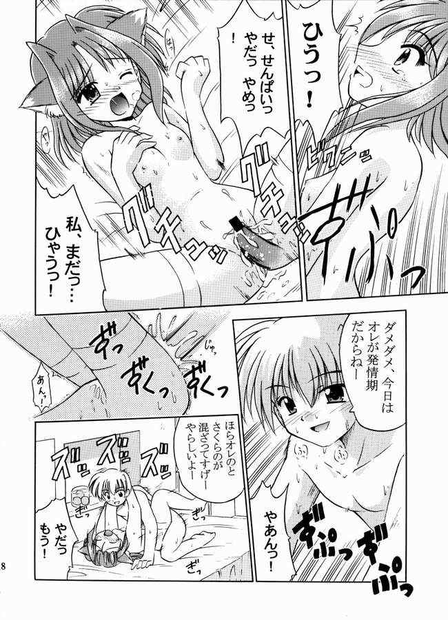 (C64) [Cool Palace (すずみやかずき)] 夏、風芽丘にて (とらいあんぐるハート)