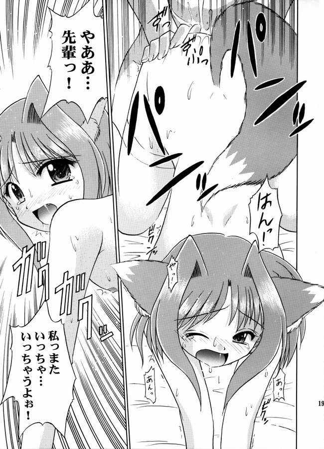 (C64) [Cool Palace (すずみやかずき)] 夏、風芽丘にて (とらいあんぐるハート)