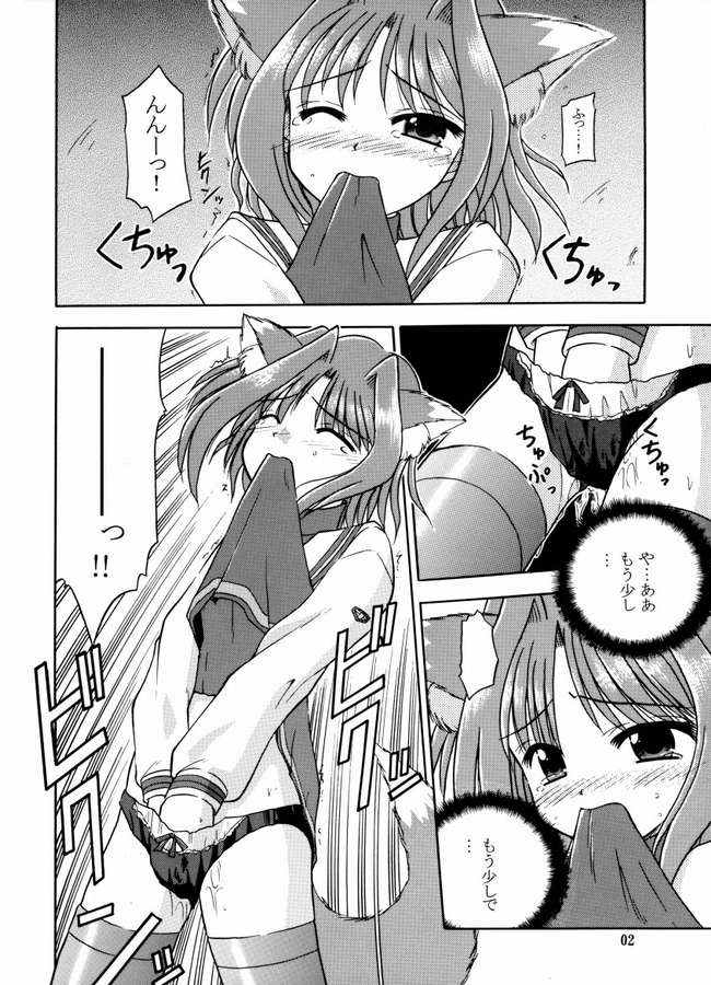 (C64) [Cool Palace (すずみやかずき)] 夏、風芽丘にて (とらいあんぐるハート)