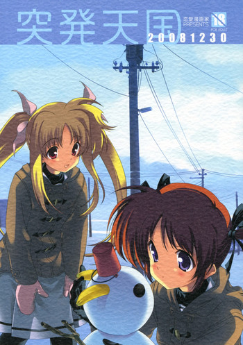 (C75) [恋愛漫画家 (鳴瀬ひろふみ)] 突発天国20081230 (魔法少女リリカルなのは)