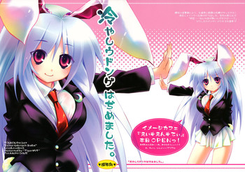 (C72) [Tiger☆79 (神楽坂なぐ, 的良みらん, 浅草寺きのと)] 冷やしウドンゲはぢめました。(東方Project) [英訳]