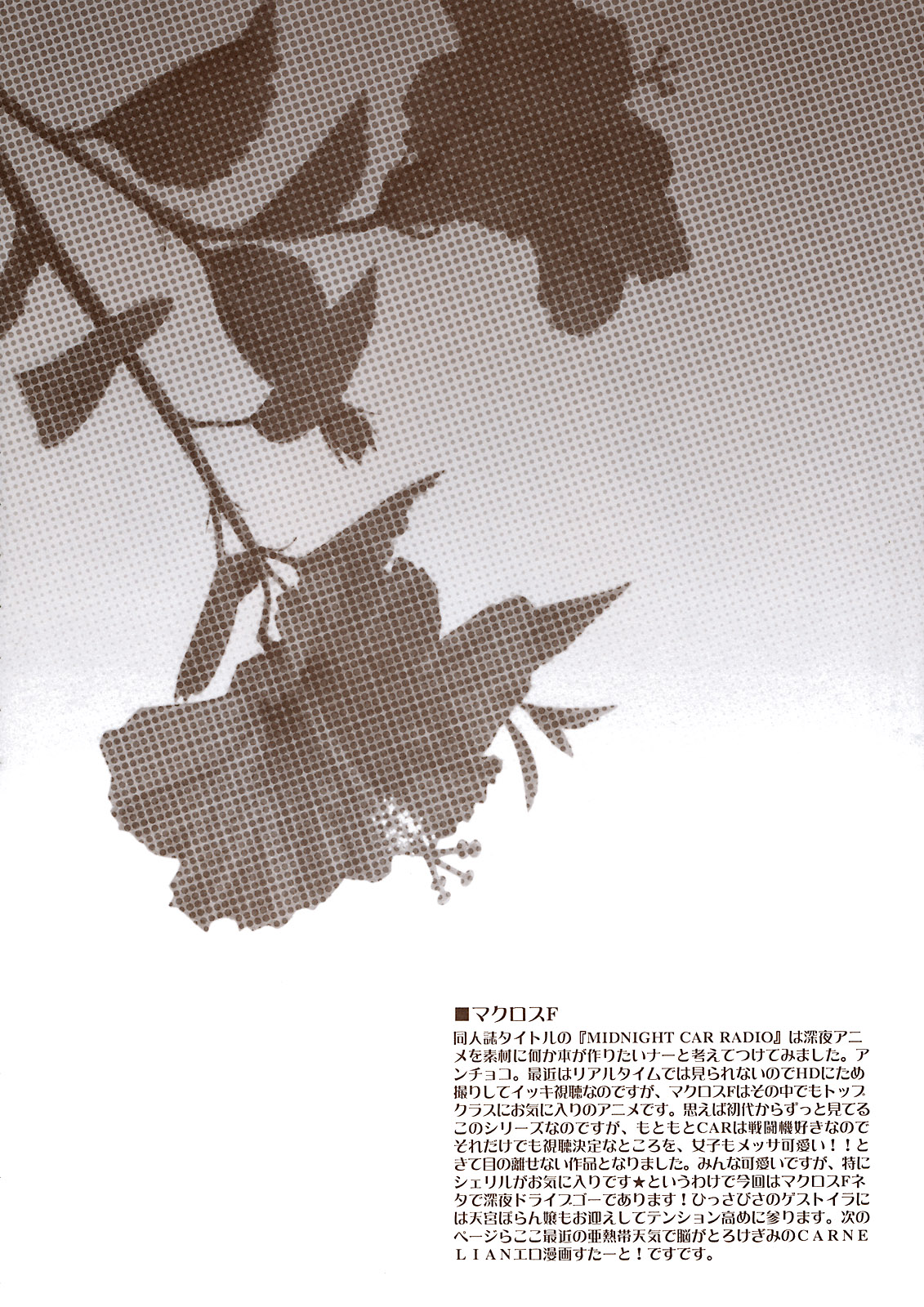 (C74) [カーネリアン] MIDNIGHT CAR RADIO (マクロスFRONTIER)