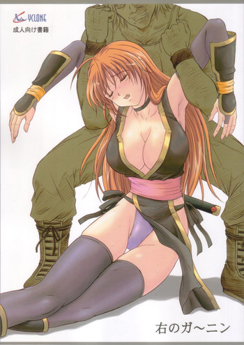 (C72) [サイクロン (和泉和也)] 右のガ～ニン (デッド・オア・アライヴ)