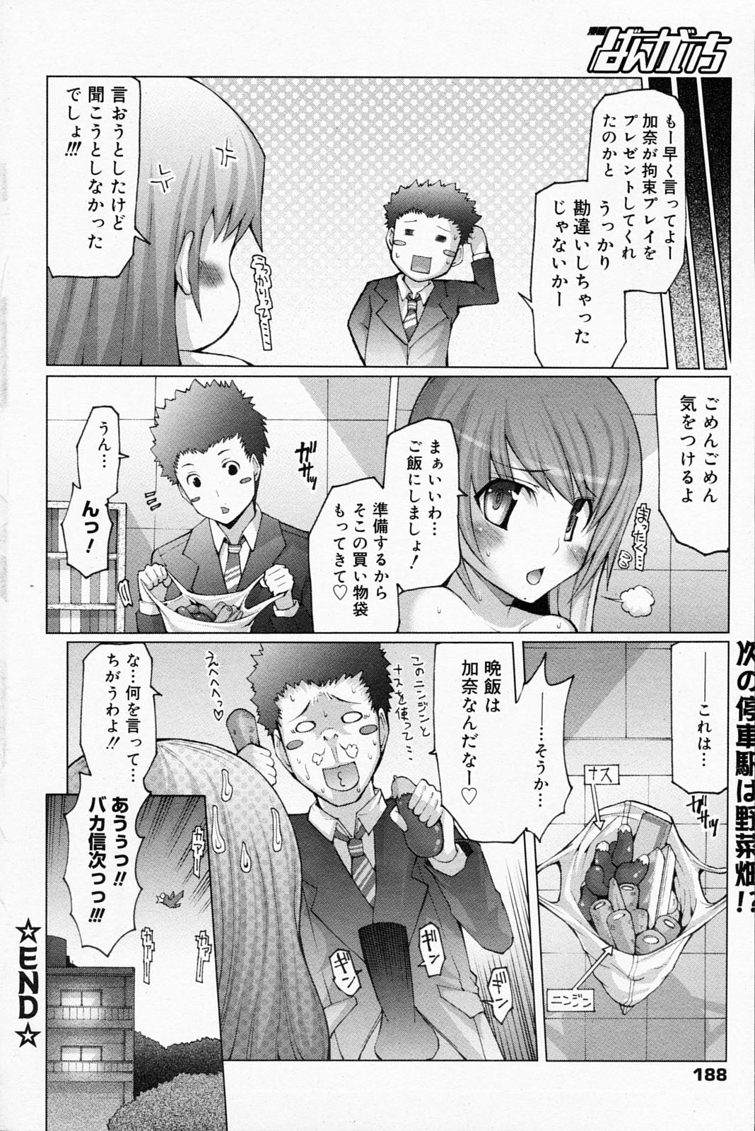 漫画ばんがいち 2008年5月号
